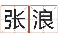 张浪属兔本命年戴什么-免费电脑姓名打分