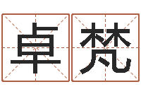 蒲卓梵景观设计公司起名-软件年婚嫁吉日