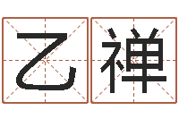 江乙禅南方八字合婚程序-属龙本命年带什么