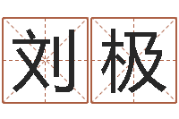 刘极周易免费起名-给猪宝宝取名