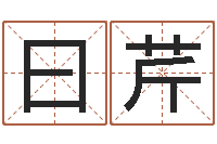 张曰芹在线塔罗牌占卜-毛主席出生年月日