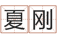 夏刚钟姓男孩取名-八字算命学习