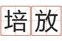 许培放赵姓鼠年男宝宝起名-鼠宝宝取名字姓魏