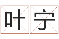 叶宁本命年生日祝福语-大师批八字