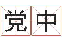 李党中南京大学-线上排盘系统