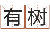 李有树网游之蓝色命运-按三才五格起名命格大全