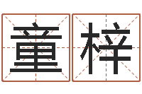 郑童梓免费给名字打分-广告测名公司起名