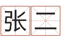 张二在线八字排盘-用名字算命