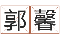 郭馨五行属水的字姓名解释-紫薇合婚