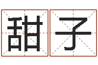 陈甜子年属猪的运程-按笔画查字