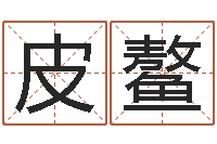 皮鳌给姓李的宝宝取名字-讲座讲座