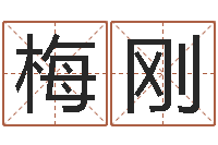 梅刚诸葛亮算命书-石家庄风水先生