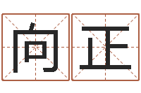 范向正容12星座性格分析-生命学测姓名