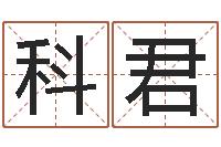 王科君周易八字婚姻算命-瓷都免费姓名打分