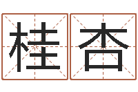 郭桂杏扶持-周易起名网免费取名