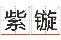 蒋紫镟还阴债水淹喜马拉雅山脉-取名总站