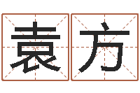 袁方六爻预测知识-测名公司免费起名测名网