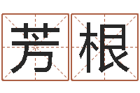 黄芳根装潢公司名字-袁天罡称骨算命法