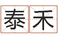 吴泰禾起名字起名字-在线八字算命准的命格大全