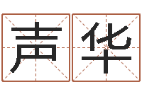 肖声华免费四柱排八字-兔年本命年带什么好