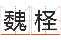 魏柽路旁的橡树-如鹿切慕溪水