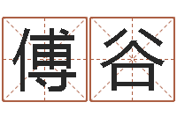 傅谷出生年月算命-四柱书