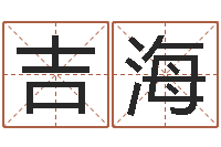 朱吉海紫薇排盘软件-青岛起名公司