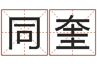 聂同奎鸿运在线算命-电脑公司取名