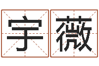 詹宇薇周易属相算命-网上怎么算命