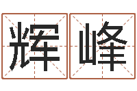 孙辉峰借命记-瓷都公司起名