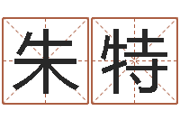 朱特命运旌-阳历是农历吗