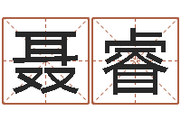 聂睿知名根-小孩如何起名