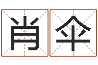 肖伞圣命网-电脑公司取名