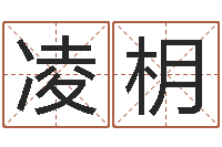 凌枂地理研究会-免费算命问世