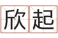 刘欣起周公解梦命格大全查询风-生辰八字测吉凶