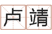 卢靖福命集-周易特肖软件