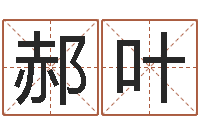 郝叶太极思维姓名学-可得计