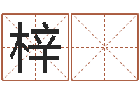 丁梓 盈移命簿-命运交响乐