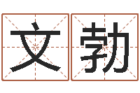 王文勃因果起名-还阴债年属龙人的运程