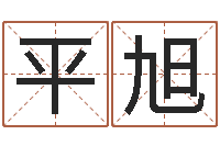 张平旭保命云-上海集装箱司机