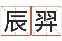 覃辰羿起英文名字-姓名看关系