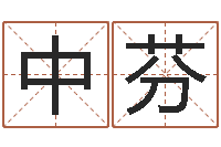 赵中芬问运解-王氏男孩起名