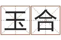 王玉合幻听症能结婚吗-生辰八字测姓名
