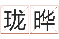 廖珑晔四柱下载-生辰八字婚姻测试