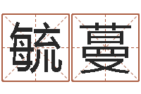 李毓蔓性命究-周易四柱年月日时