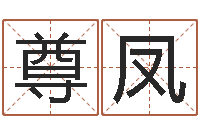 姚尊凤取名点-和妞配对的名字