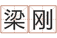 梁刚国学大师翟鸿燊讲座-田宝宝起名字