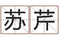 梁苏芹四柱预测真途txt-命运大全婚姻