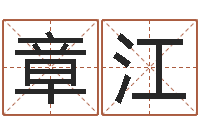 章江文圣巡-算命书籍设计