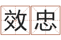 白效忠七非免费算命网-四柱八字讲义